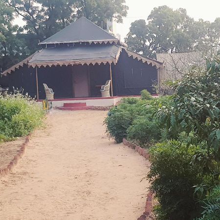 Orchard Tents & Tranquility Pushkar Zewnętrze zdjęcie