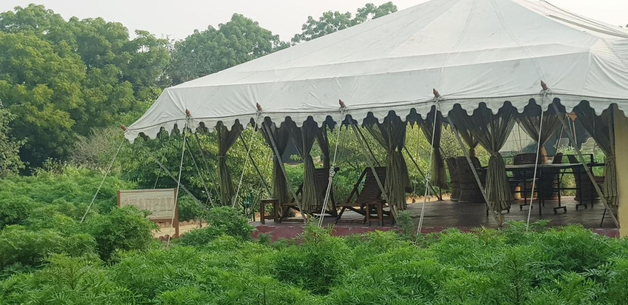 Orchard Tents & Tranquility Pushkar Zewnętrze zdjęcie